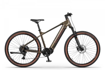 Rower elektryczny Ecobike SX 300 Green
